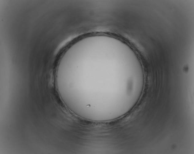 X0000094321262200711241759