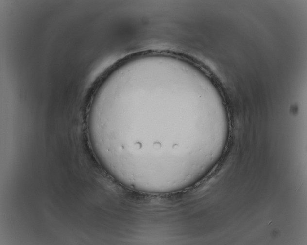 X0000094321263200711241759