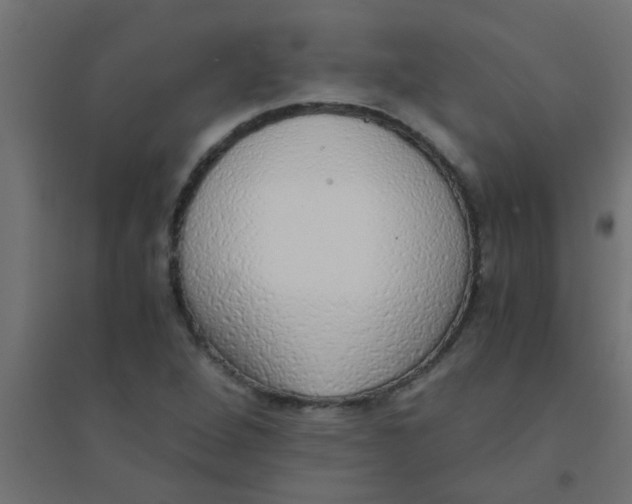 X0000094321264200711241759