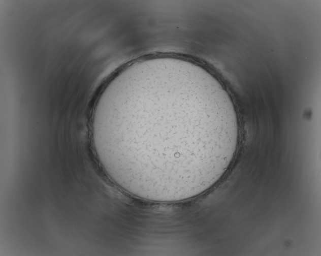 X0000094321266200711241759