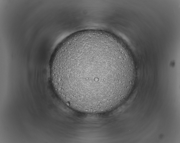 X0000094321267200711241759