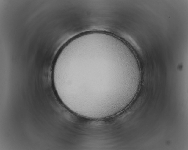 X0000094321268200711241759