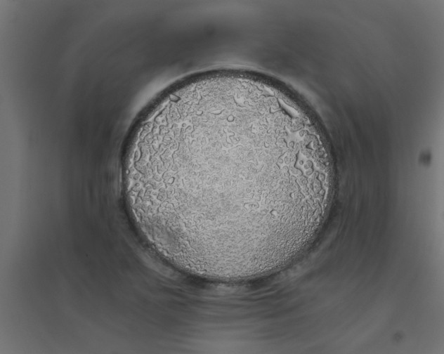 X0000094321271200711241759