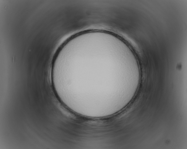 X0000094321272200711241759