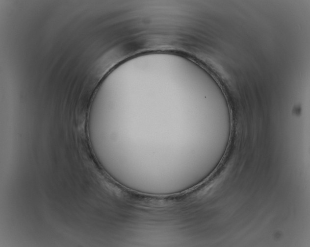 X0000094321273200711241759