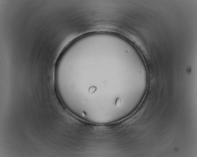 X0000094321275200711241759