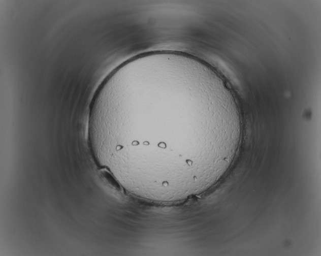 X0000094321276200711241759