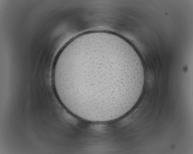 X0000094321278200711241759