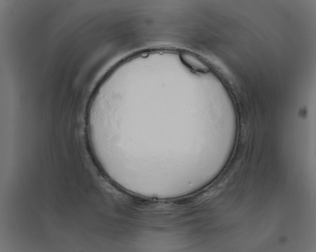 X0000094321279200711241759