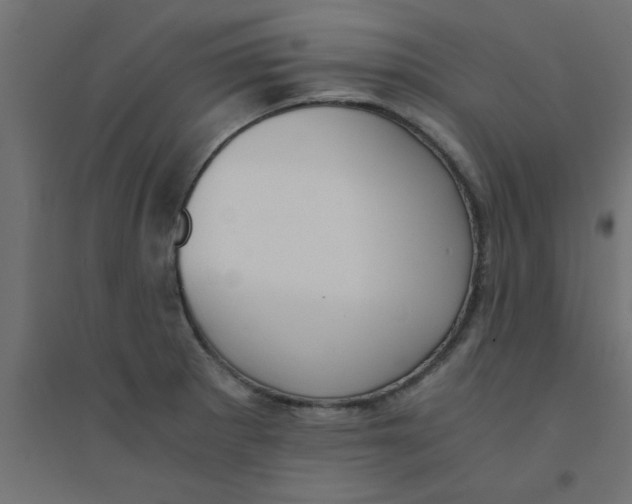 X0000094321281200711241759