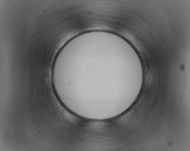 X0000094321282200711241759