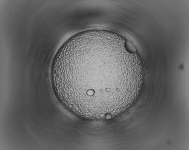 X0000094321283200711241759
