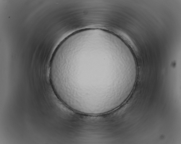 X0000094321284200711241759
