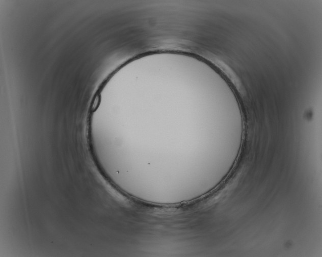 X0000094321285200711241759