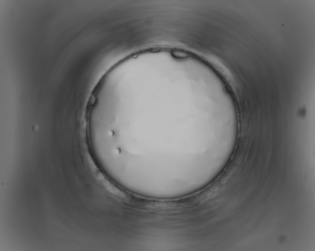 X0000094321287200711241759