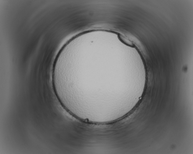 X0000094321288200711241759