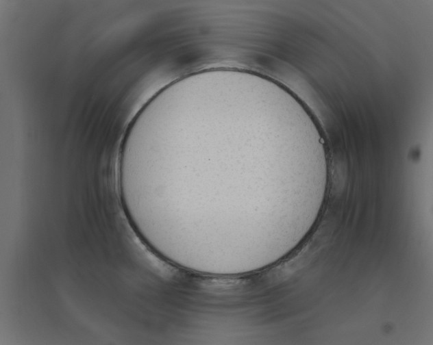 X0000094321290200711241759