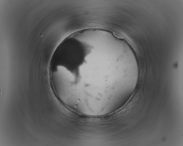 X0000094321291200711241759