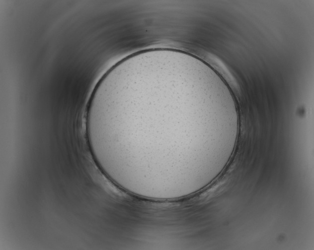 X0000094321292200711241759