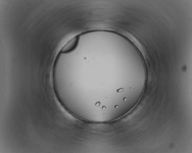 X0000094321293200711241759