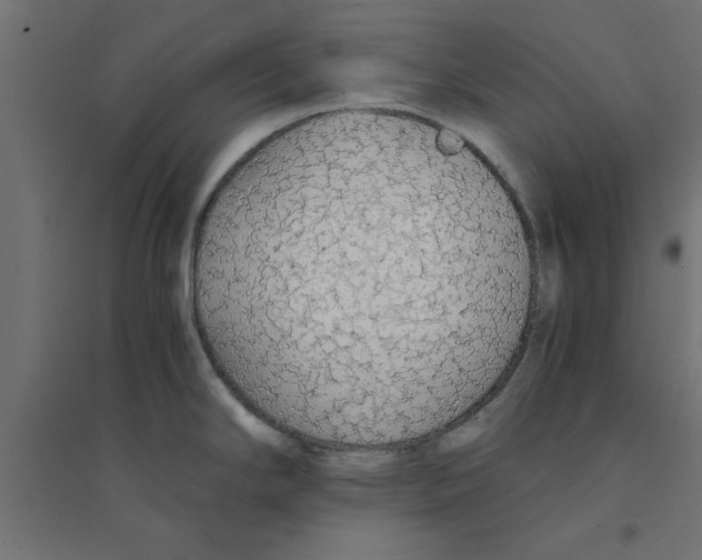 X0000094321294200711241759