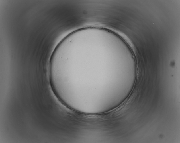 X0000094321295200711241759