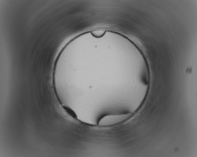 X0000094321296200711241759
