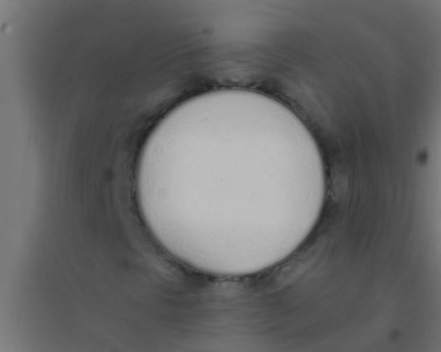 X0000094321297200711241758