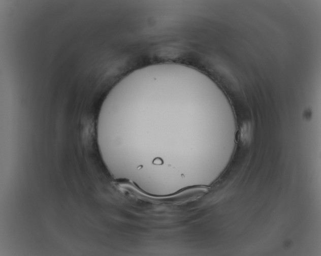X0000094321299200711241758