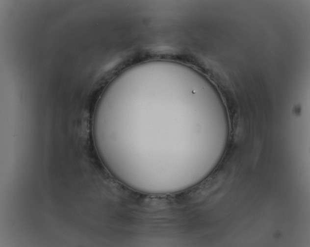 X0000094321301200711241758