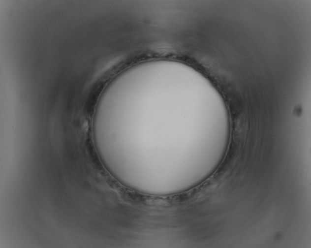 X0000094321302200711241758