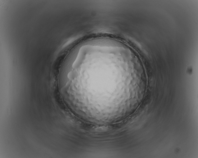 X0000094321303200711241758