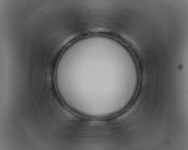 X0000094321305200711241758