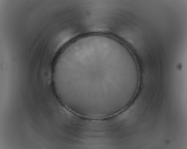 X0000094321306200711241758