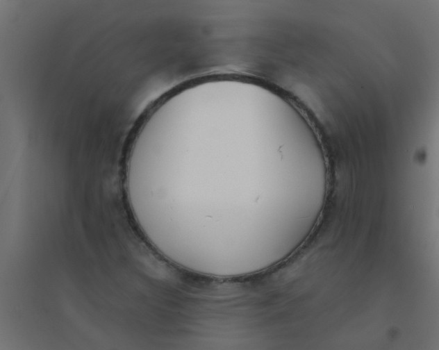X0000094321308200711241758