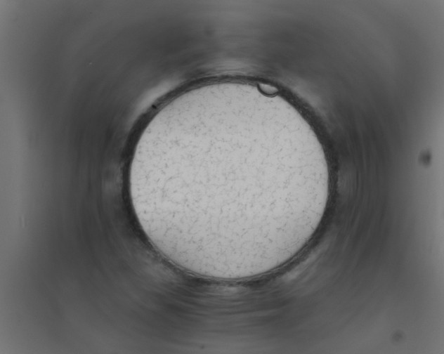 X0000094321309200711241758