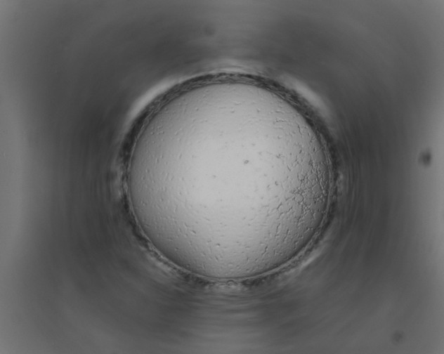 X0000094321310200711241758