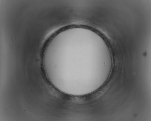 X0000094321311200711241758