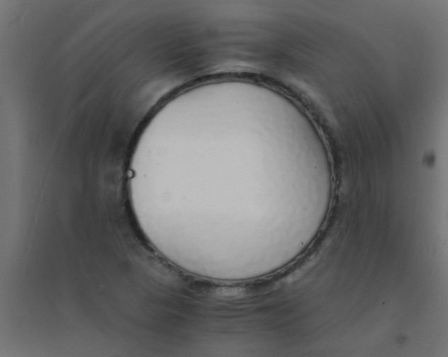 X0000094321313200711241758