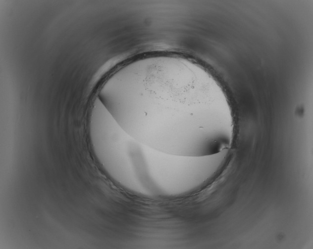 X0000094321314200711241758