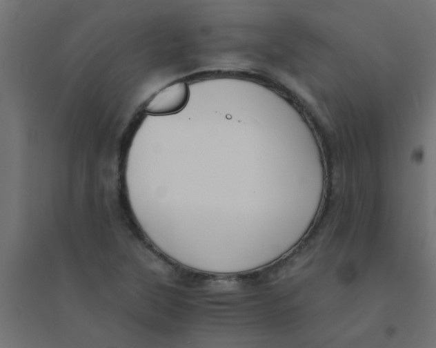 X0000094321315200711241758
