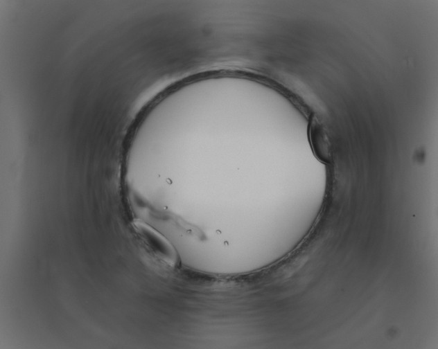 X0000094321316200711241758