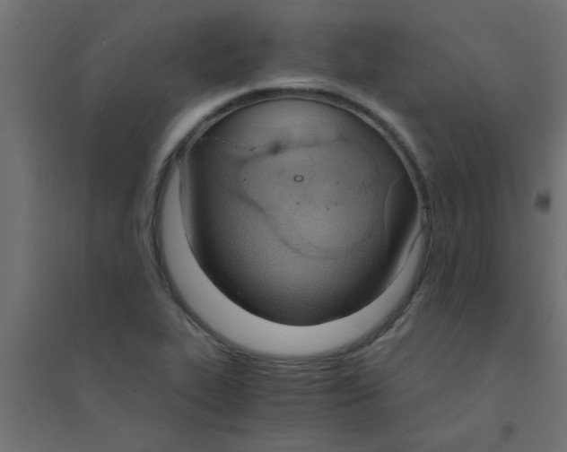 X0000094321319200711241758