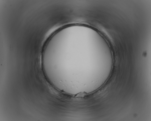 X0000094321320200711241758