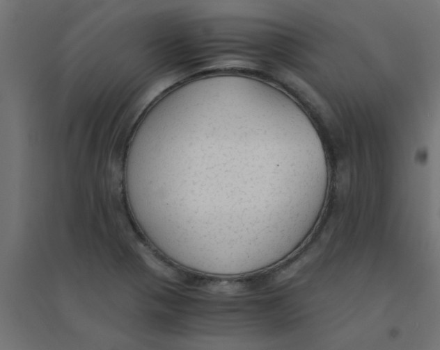 X0000094321321200711241758