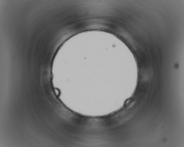 X0000094321322200711241758