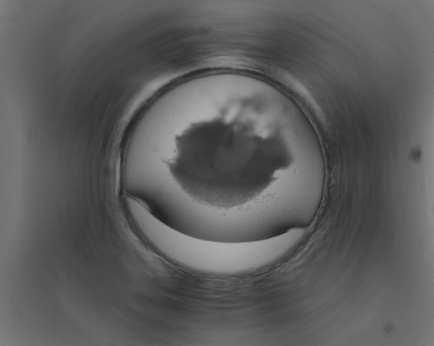 X0000094321323200711241758