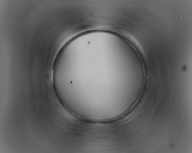 X0000094321324200711241758