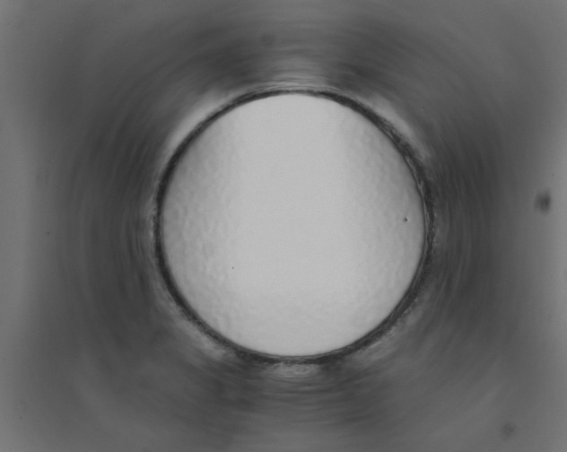 X0000094321325200711241758