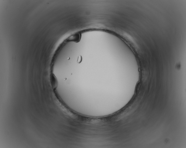 X0000094321326200711241758